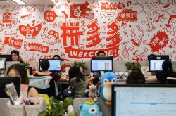 （2分钟科普）阿勒泰地区行署官网公告公示_哔哩哔哩-3
